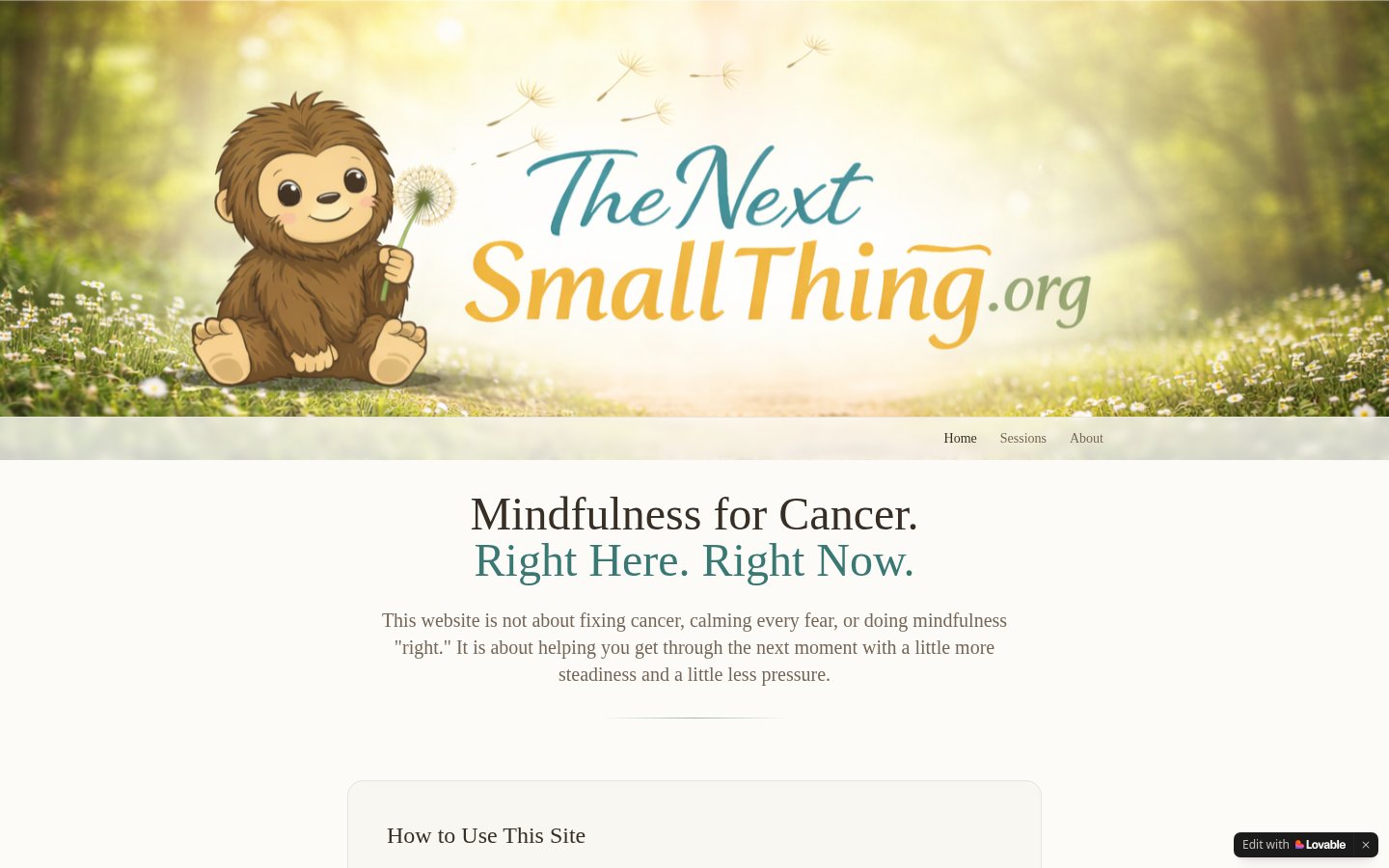 The Next Small Thing website homepage